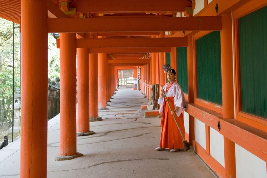 Miko ou jeune fille du sanctuaire (jeunes femmes servant dans un sanctuaire shinto) au sanctuaire shinto Kasuga Taisha, Nara, Japon.