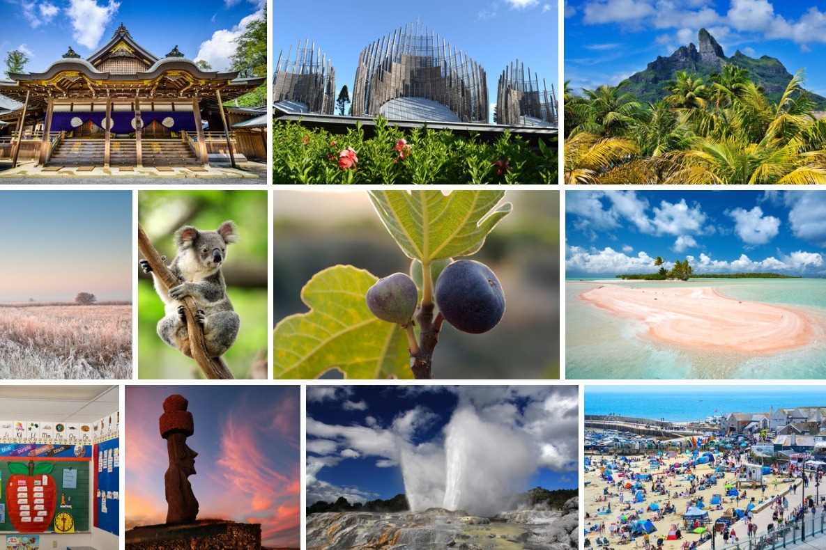 Un collage di fotografie