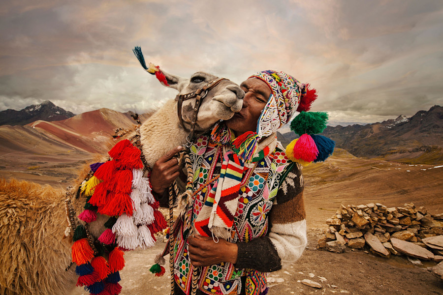 A man lovingly kisses his llama on the heights of the mountain of seven colors, Cusco Peru.