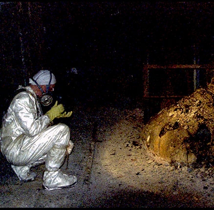 The Elephants Foot of the Chernobyl disaster. 