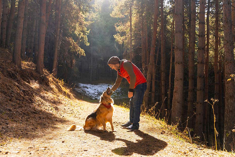 Homme jouant avec son chien dans une forêt éclairée par la lumière du soleil.