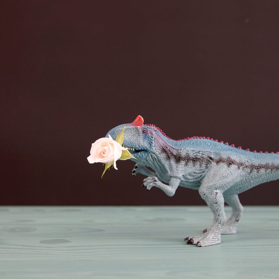 Plastic dinosaur dragon toy with pink rose flower over black background