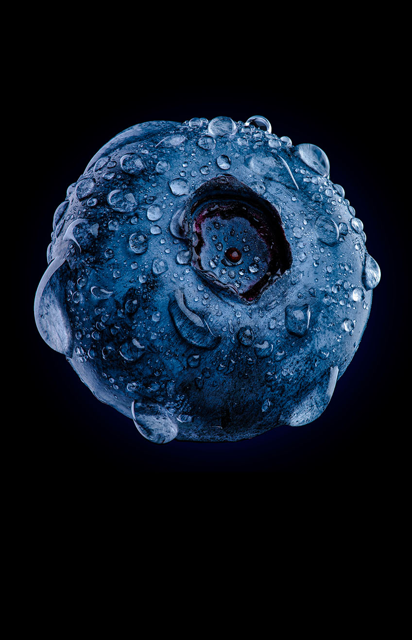 W691YM - One blueberry covered with water drops isolated on black background. Very detailed macro shoot with copy space on right.