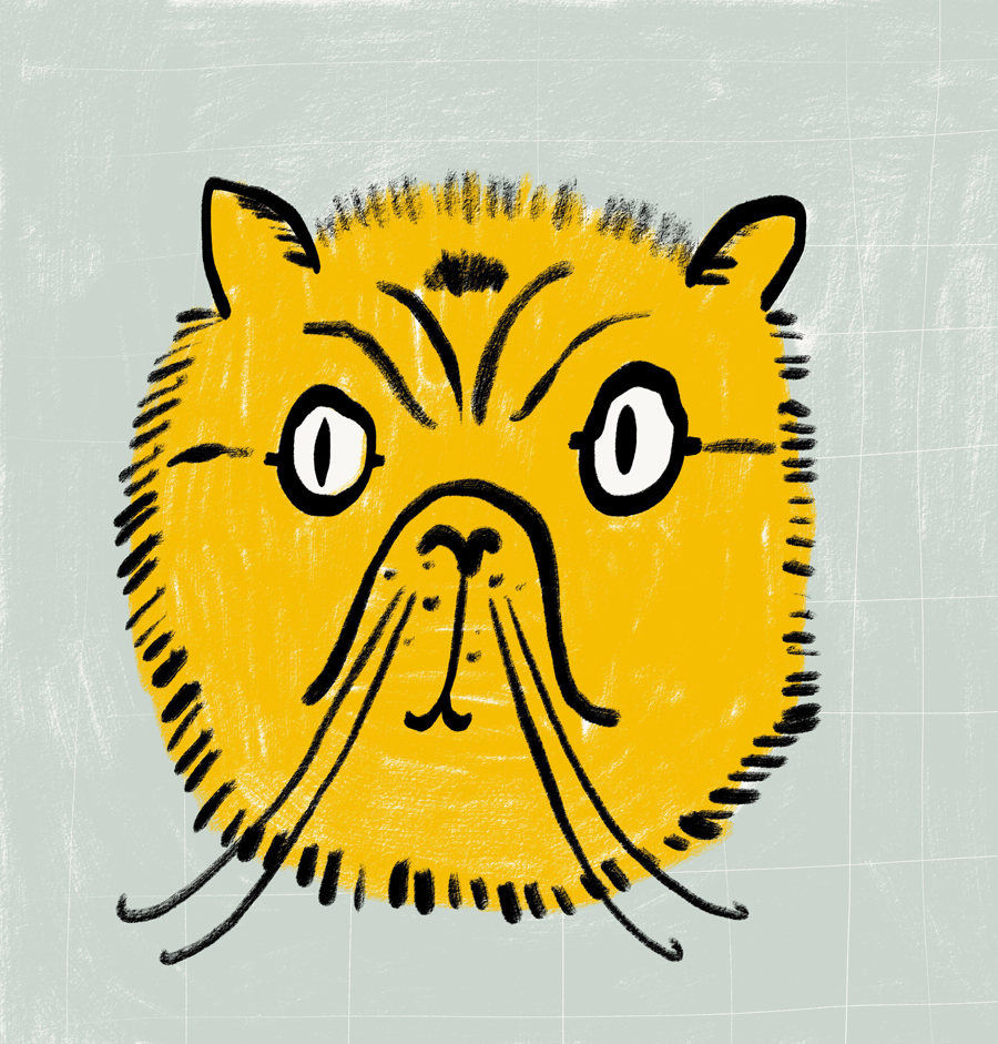 A vibrant and expressive illustration of a cat with sketchy lines and bold colors, perfect for creative projects