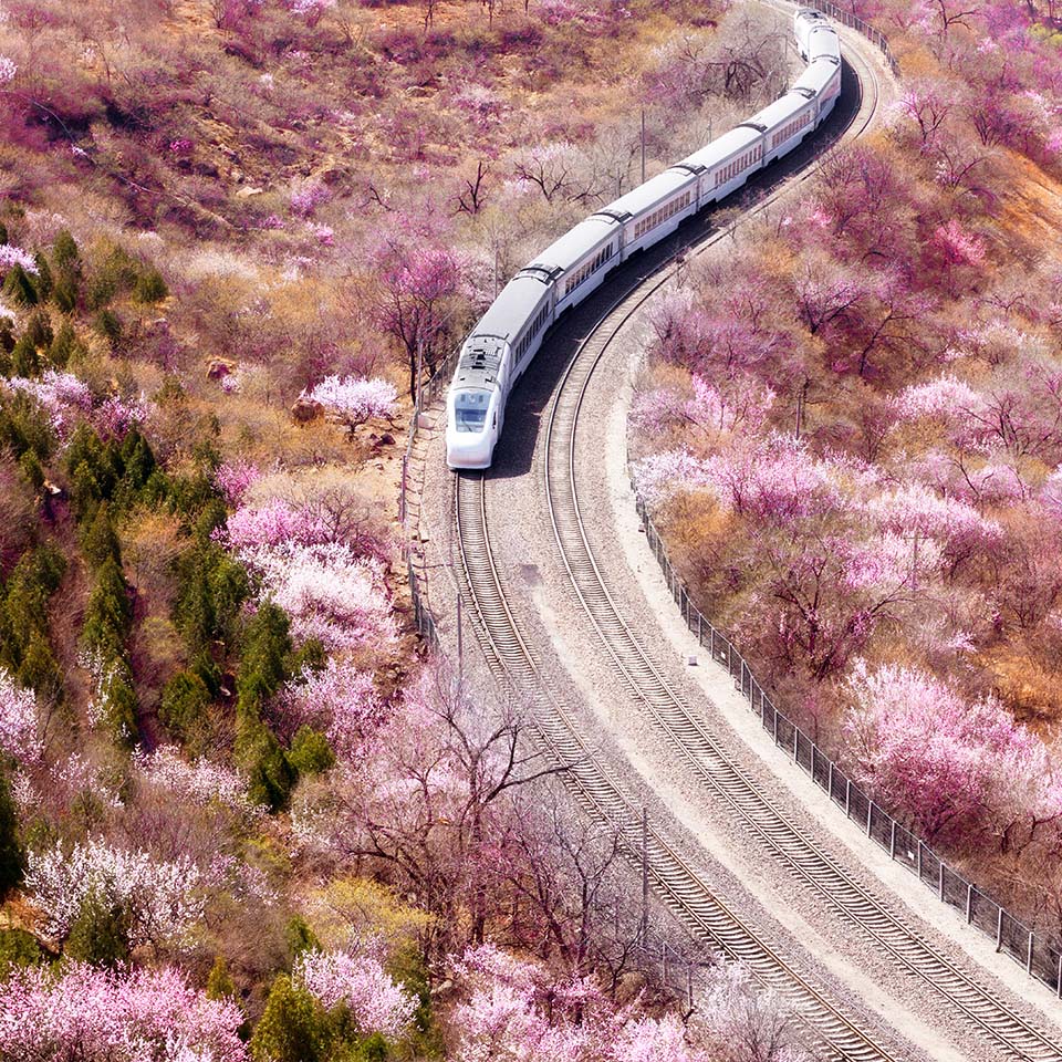 Ferrovia Pechino-Zhang a Pechino, Cina, treno per la primavera.