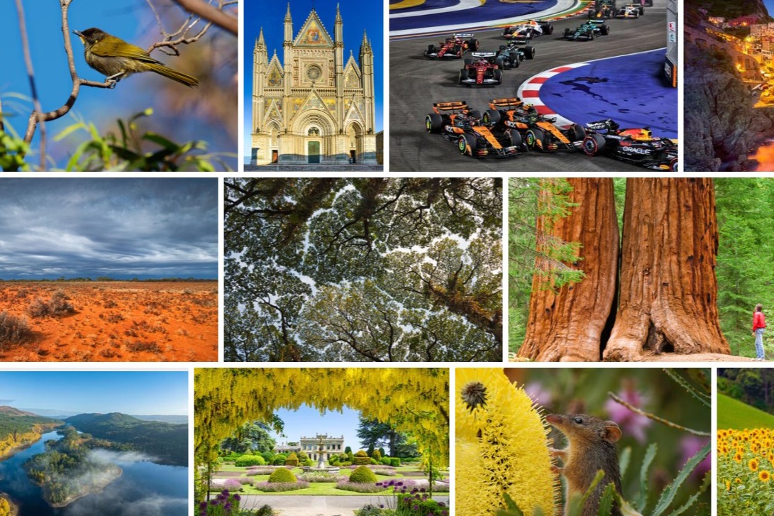 Un collage di fotografie