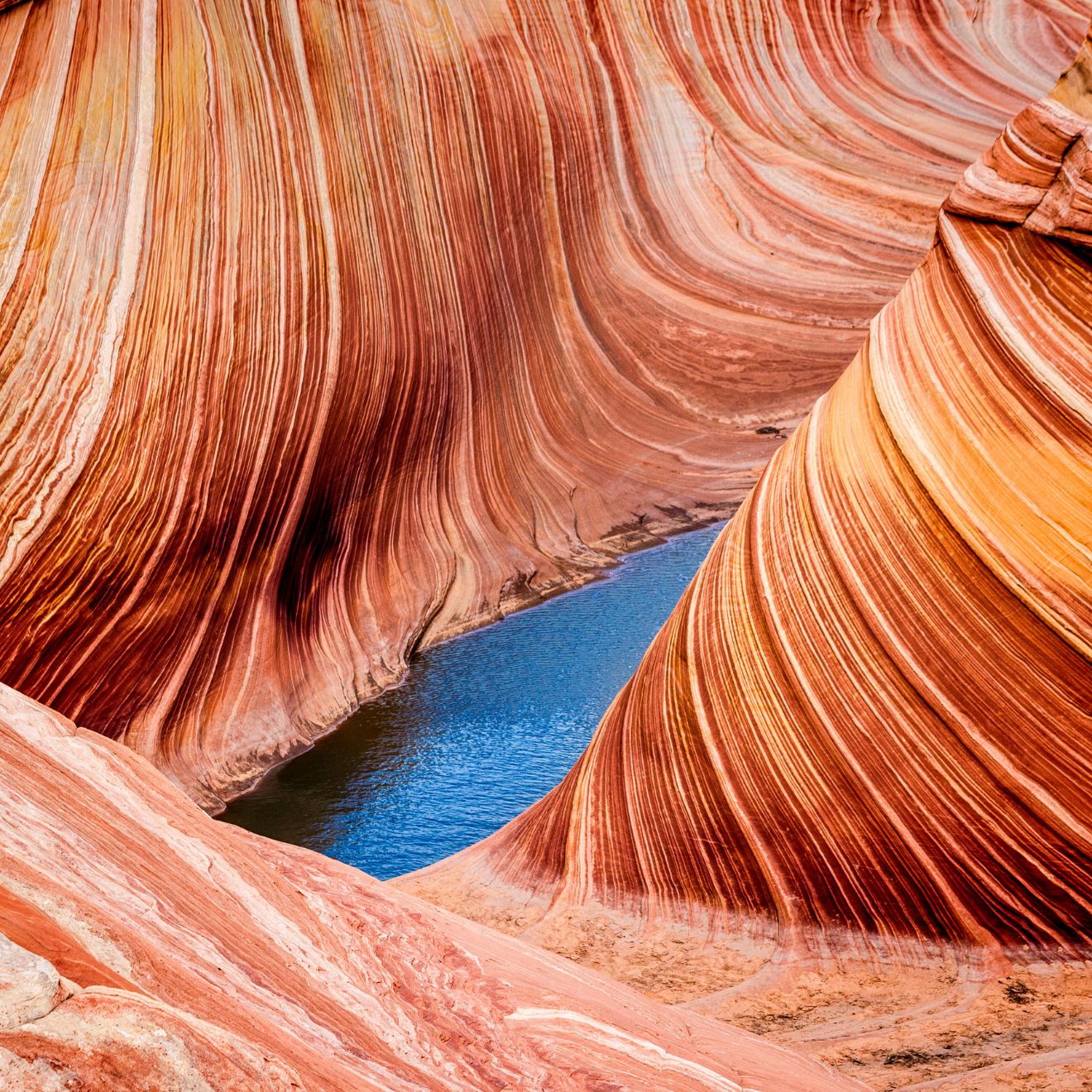 The Wave rock formation,Coyote Buttes, Paria Canyon Vermillion cliffs, Arizona, USA - Image ID: MA5FBD (RM)