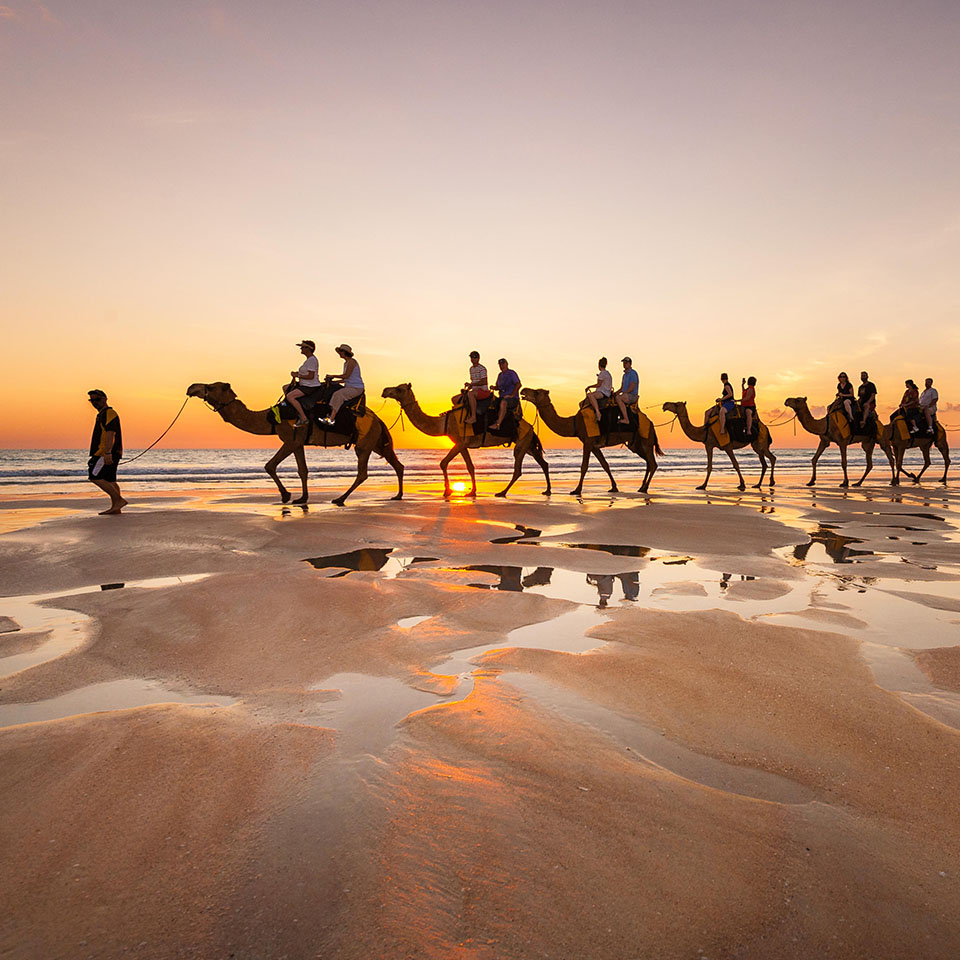 PJE6CD - Randonnée à dos de chameau sur la célèbre plage Cable Beach à Broome