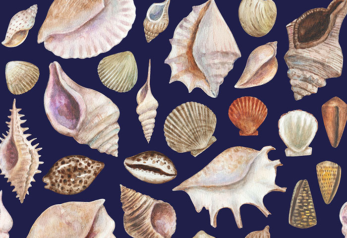 Seamless pattern with sea shells and conchs. Watercolor painting.