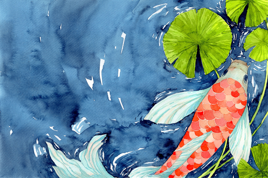 Hand painted watercolor illustration of koi carp fish in pond, symbol of good luck and prosperity.