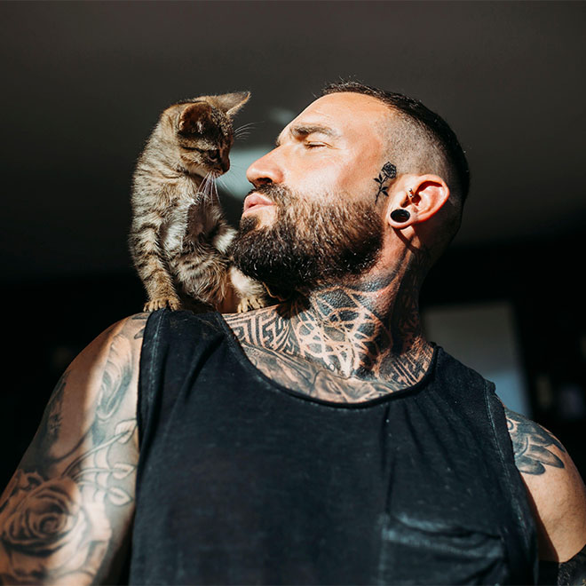 Haustierbesitzer sieht sich eine Katze an, die auf der Schulter sitzt."