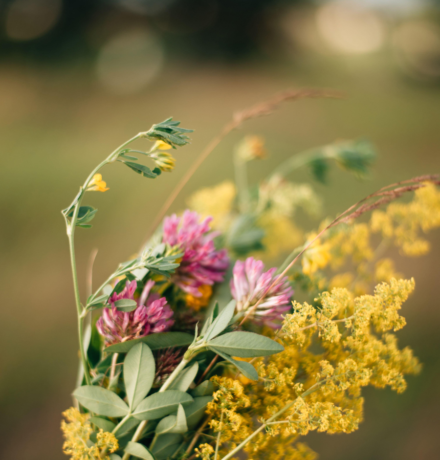 Ein kleiner Strauß Wildblumen