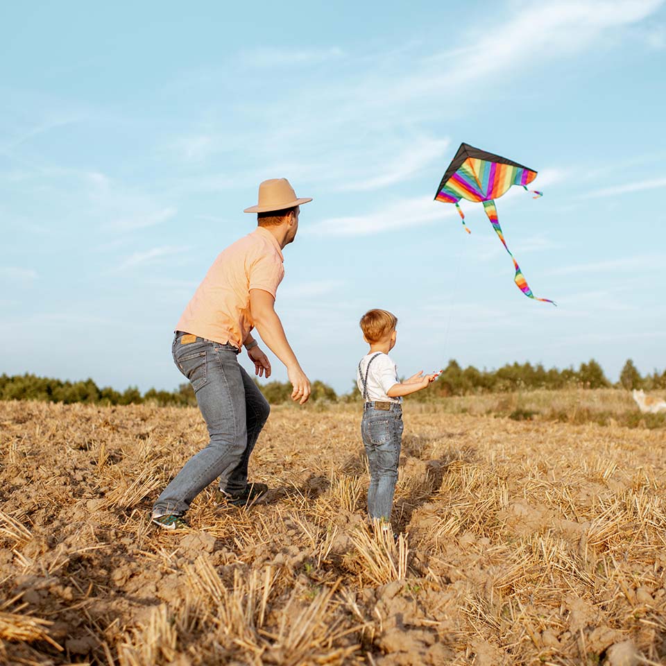 WAX1A7 – Vater lässt mit seinem Sohn einen farbenfrohen Drachen in einem Feld steigen. Konzept einer glücklichen Familie, die bei einer Sommeraktivität gemeinsam Spaß hat
