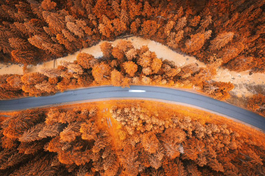 Aerial view of road in beautiful orange forest at sunset. Autumn