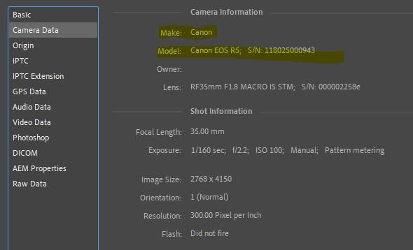 Screenshot of Exif camera data information in Photoshop