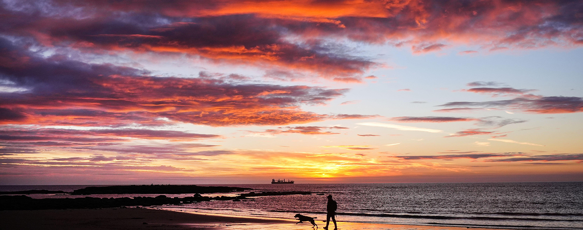 Dog walkers at sunrise on Tynemouth beach in the North East of England.