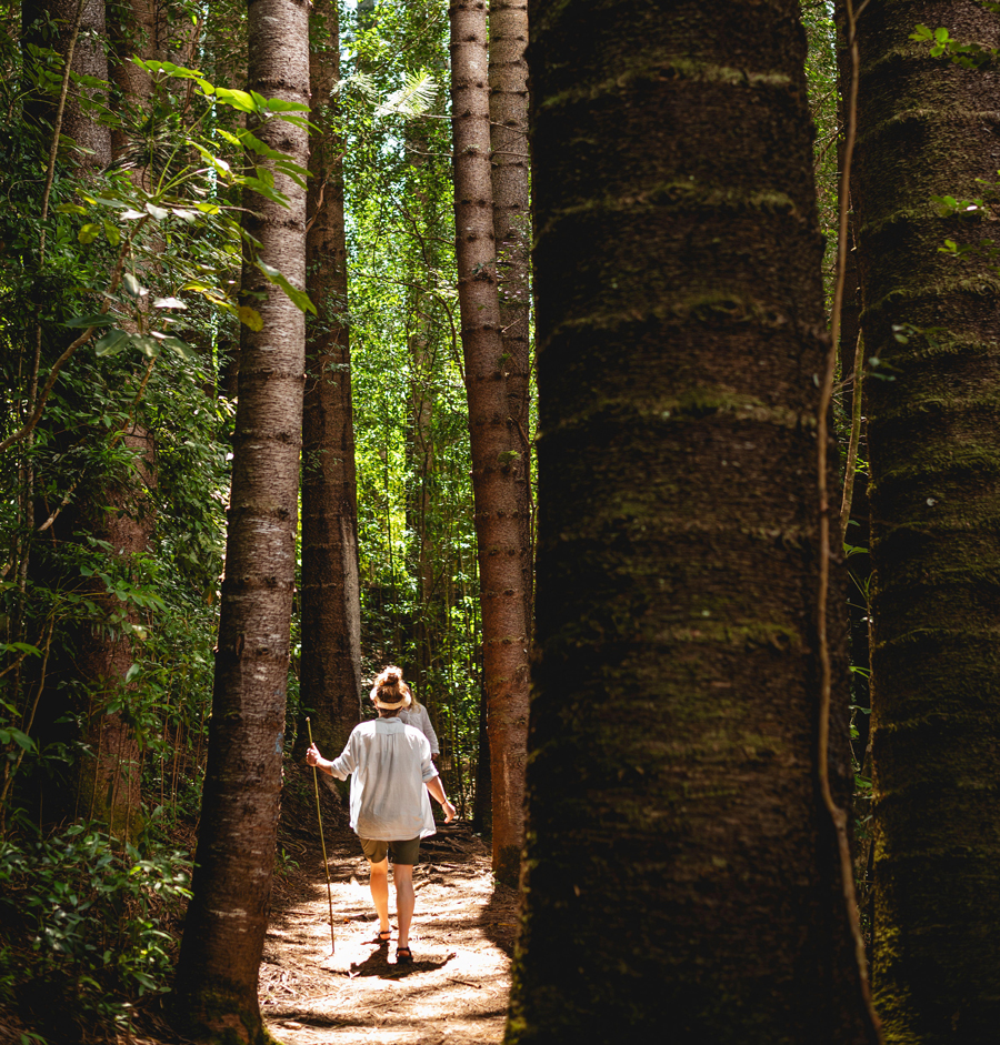 Rear view of woman hiking while holding stick at forest