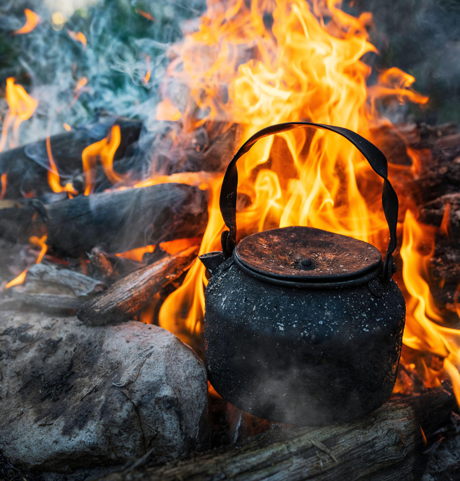 Water kettle on top of fire pit in forest