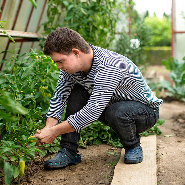 Down syndrome adult man working in greenhouse, gardening concept.