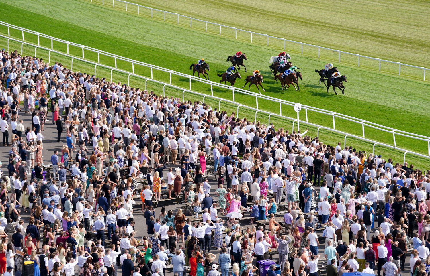 Lethal Levi ridden by Clifford Lee wins the TPT Fire Handicap during the BetVictor Hungerford Day with Dizzee Rascal at Newbury Racecourse. Picture date: Saturday August 17, 2024.