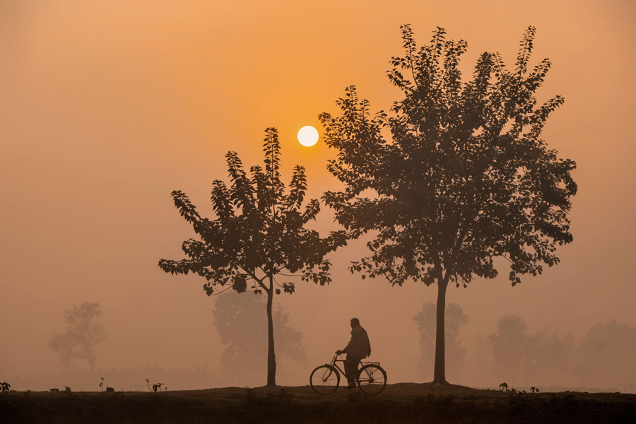 View of a cyclist riding through a misty landscape, the golden light creating silhouettes against the ethereal backdrop.