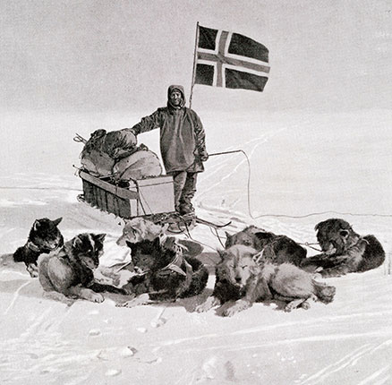 Captain Roald Engelbregt Gravning Amundsen,1872 -1928. Seen here at the South pole under the Norwegian flag.