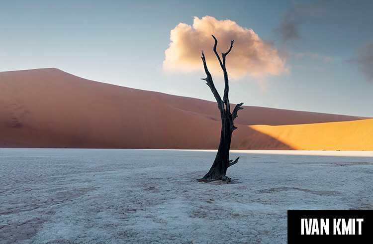 Dead Camelthorn Trees at sunrise, Deadvlei, Namib-Naukluft National Park, Namibia, Africa. Dried trees in Namib desert. Landscape photography