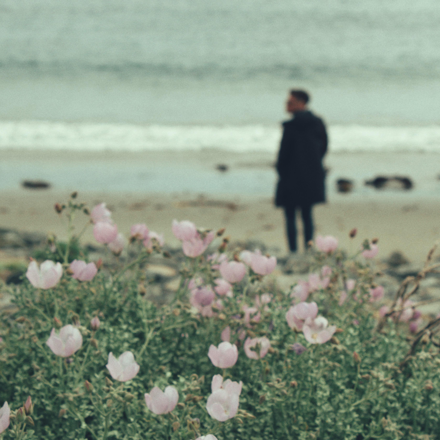 Flowers at the beach