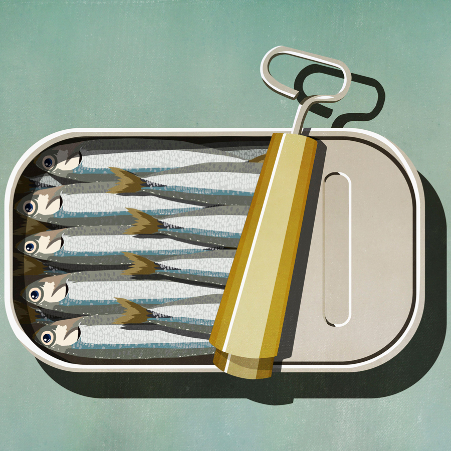 Illustration of an Open can of sardines