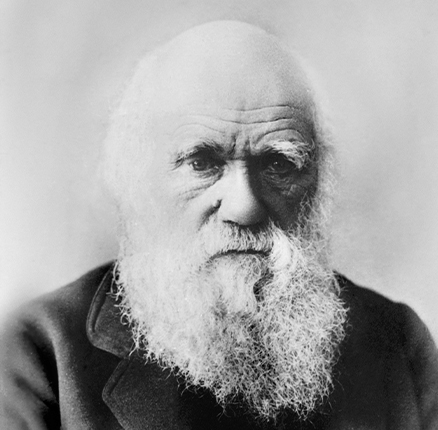Charles Darwin (1809-1882). Portrait, unknown date.