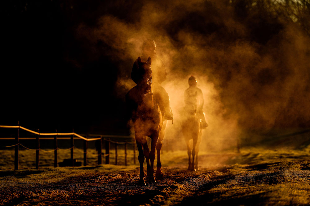 Horses on the gallops at Sam Drinkwater's Granary Stables, Strensham, Worcestershire. Picture date: Thursday January 9, 2025.