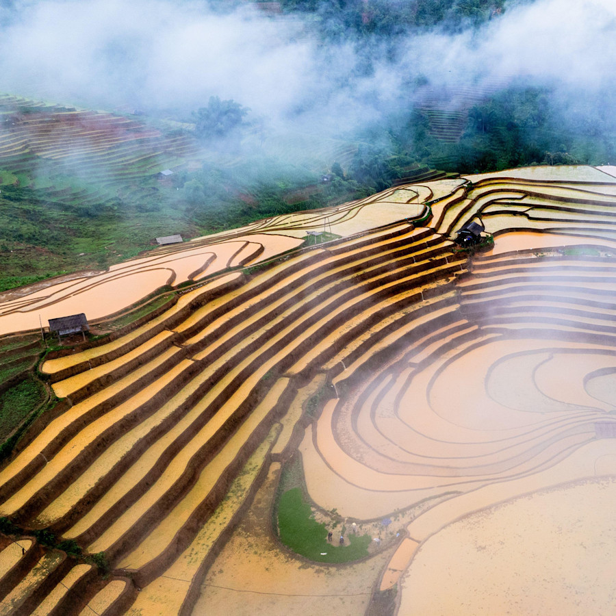 Hmong-Bauern bereiten ihre Felder vor und pflanzen Reis auf den Terrassenfeldern in Mu Cang Chai, Yen Bai. Foto aufgenommen in Yen Bai am 22. Juni 2025