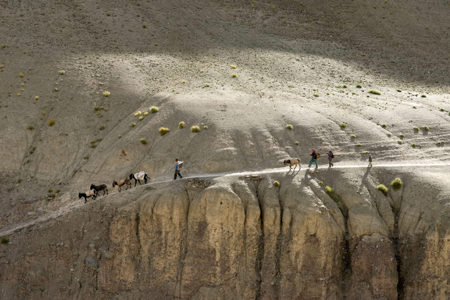 Dorfbewohner auf einem Maultierpfad auf dem Weg zum Dorf Rumbak, Hemis-Nationalpark, Region Ladakh, Bundesstaat Jammu und Kaschmir, Indien, Asien