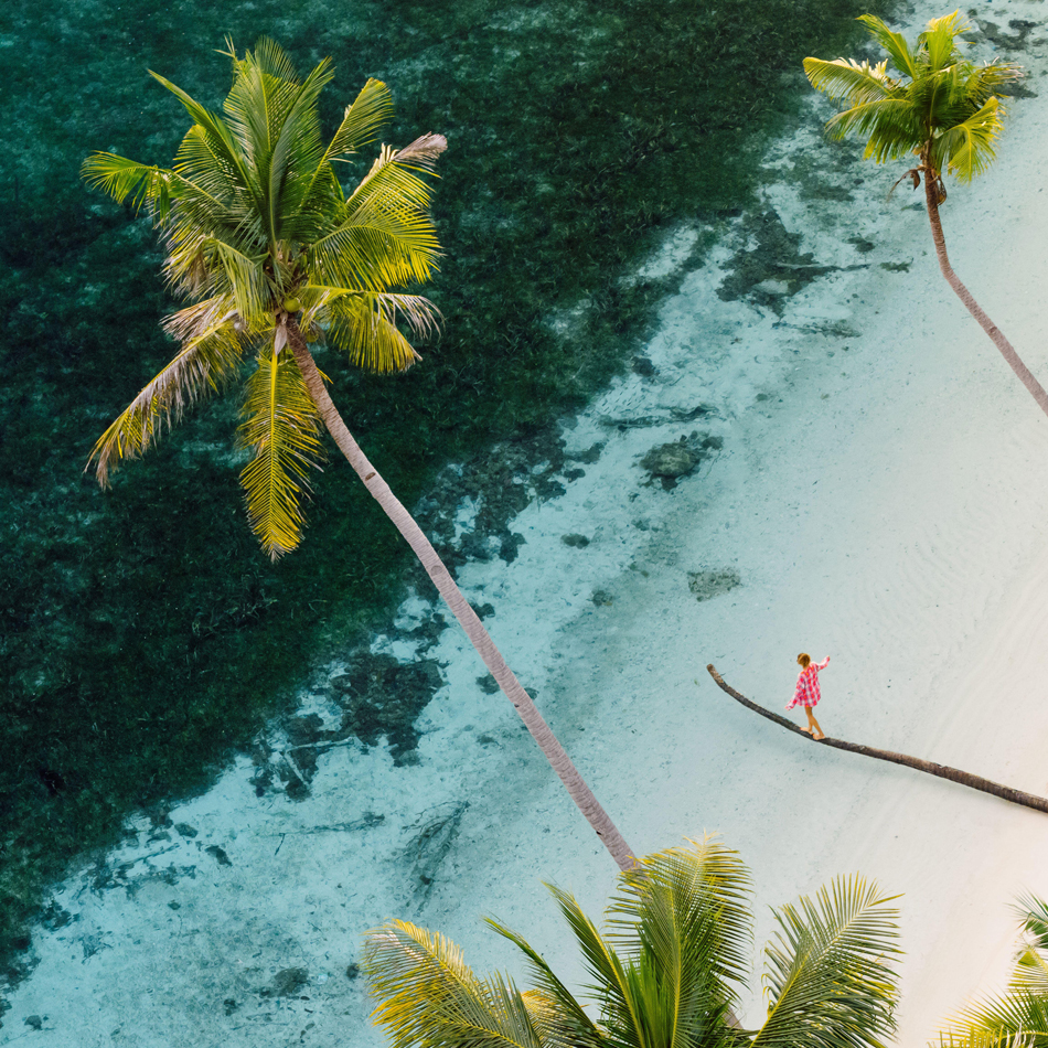 Woman walks along the trunk of a lying palm tree in tropical sea on her holidays. Drone view