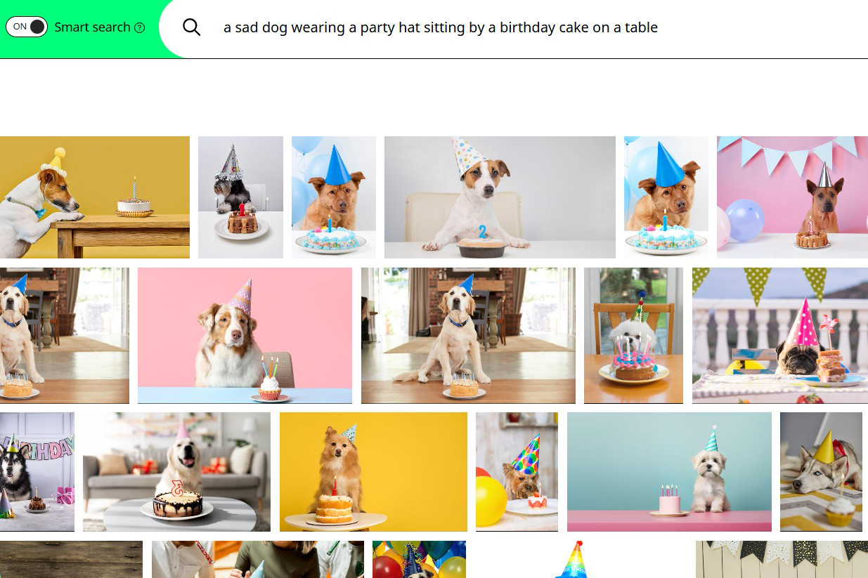 17�Թ����� Smart Search results page displaying natural language photo search results for a styled pet birthday scene
