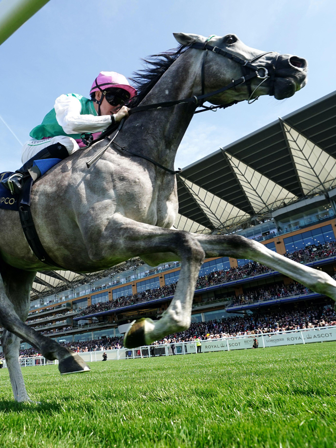 "Field Of Gold" ridden by Colin Keane on their way to winning the St James's Palace Stakes during day one of Royal Ascot at Ascot Racecourse, Berkshire, June 17, 2025