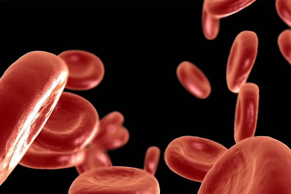F75766 - Red Blood Cells
